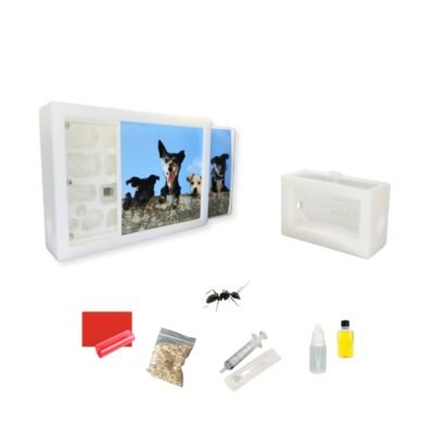 AntFrame Mini Core