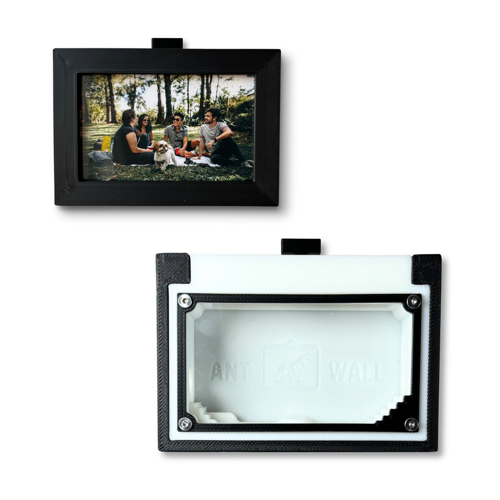 AntFrame Mini Forrajeo