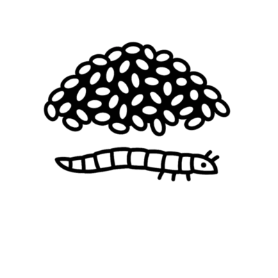 Alimentación