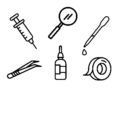 Complementos