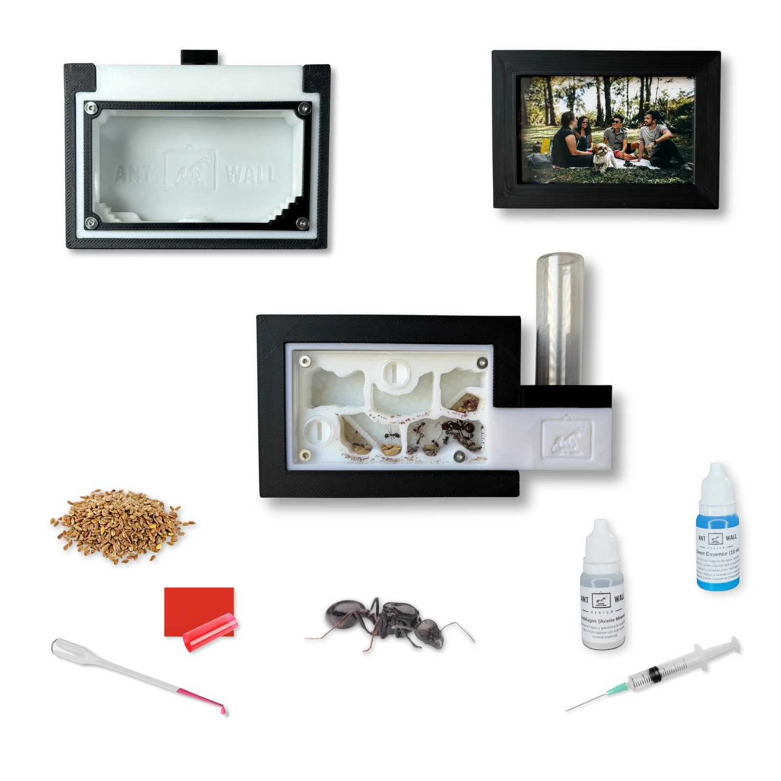 AntFrame Kit Essensial