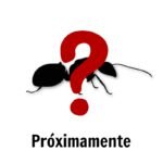 Próximamente