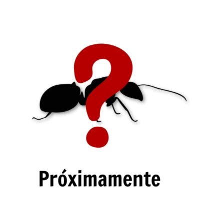 Próximamente