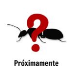 Próximamente