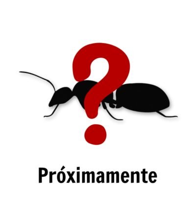 Próximamente