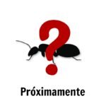 Próximamente